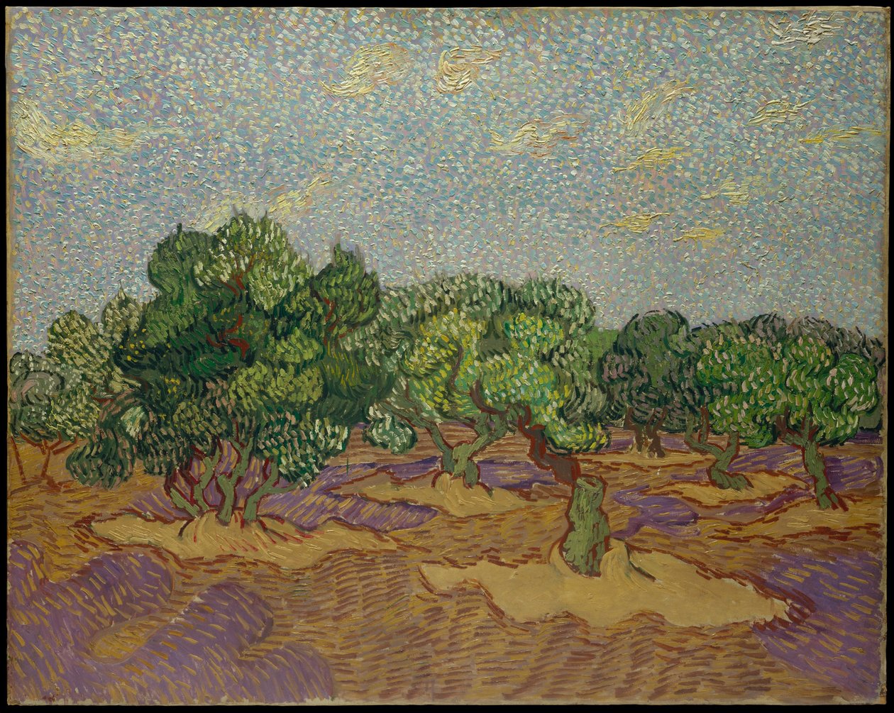 Olivovníky od Vincent van Gogh