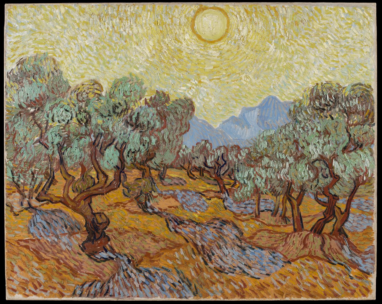 Olivovníky od Vincent van Gogh