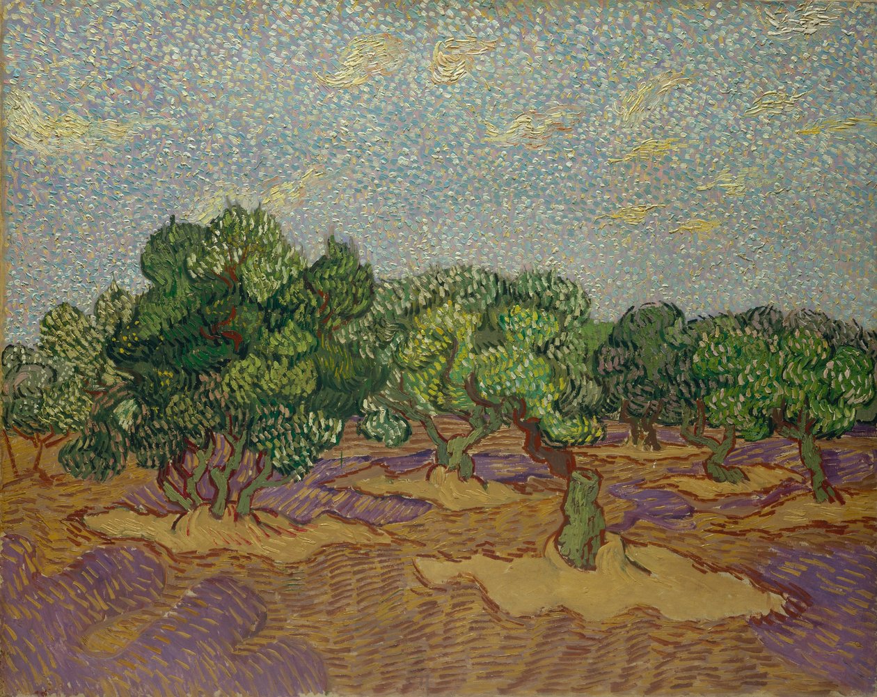 Olivovníky, 1889. od Vincent van Gogh