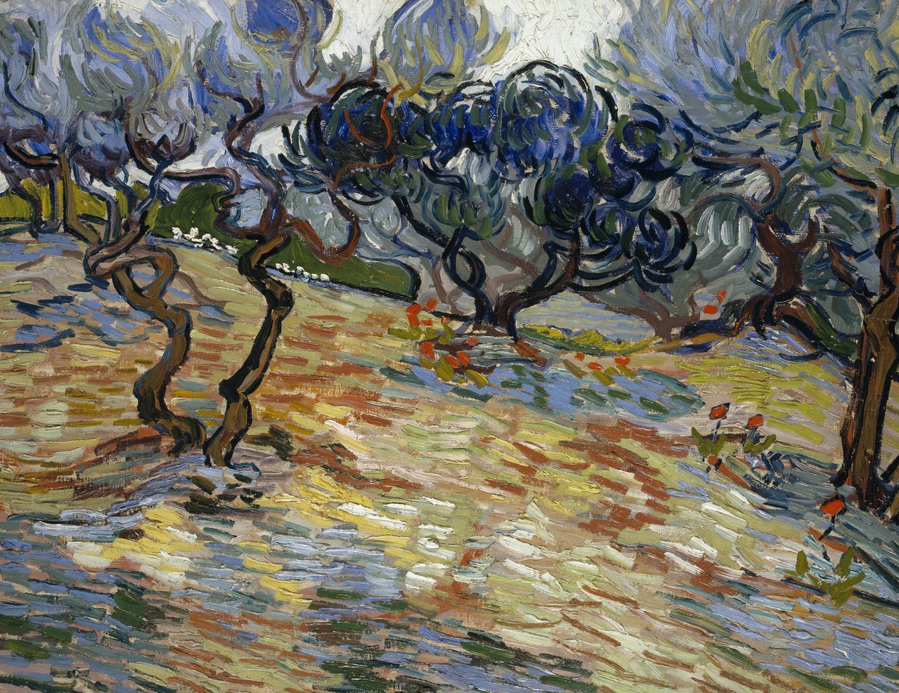 Olivovníky: Jasně modrá obloha od Vincent van Gogh