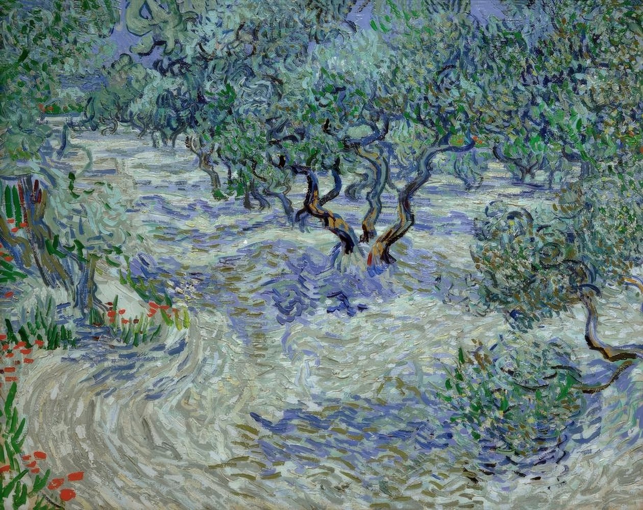 Olivový háj od Vincent van Gogh