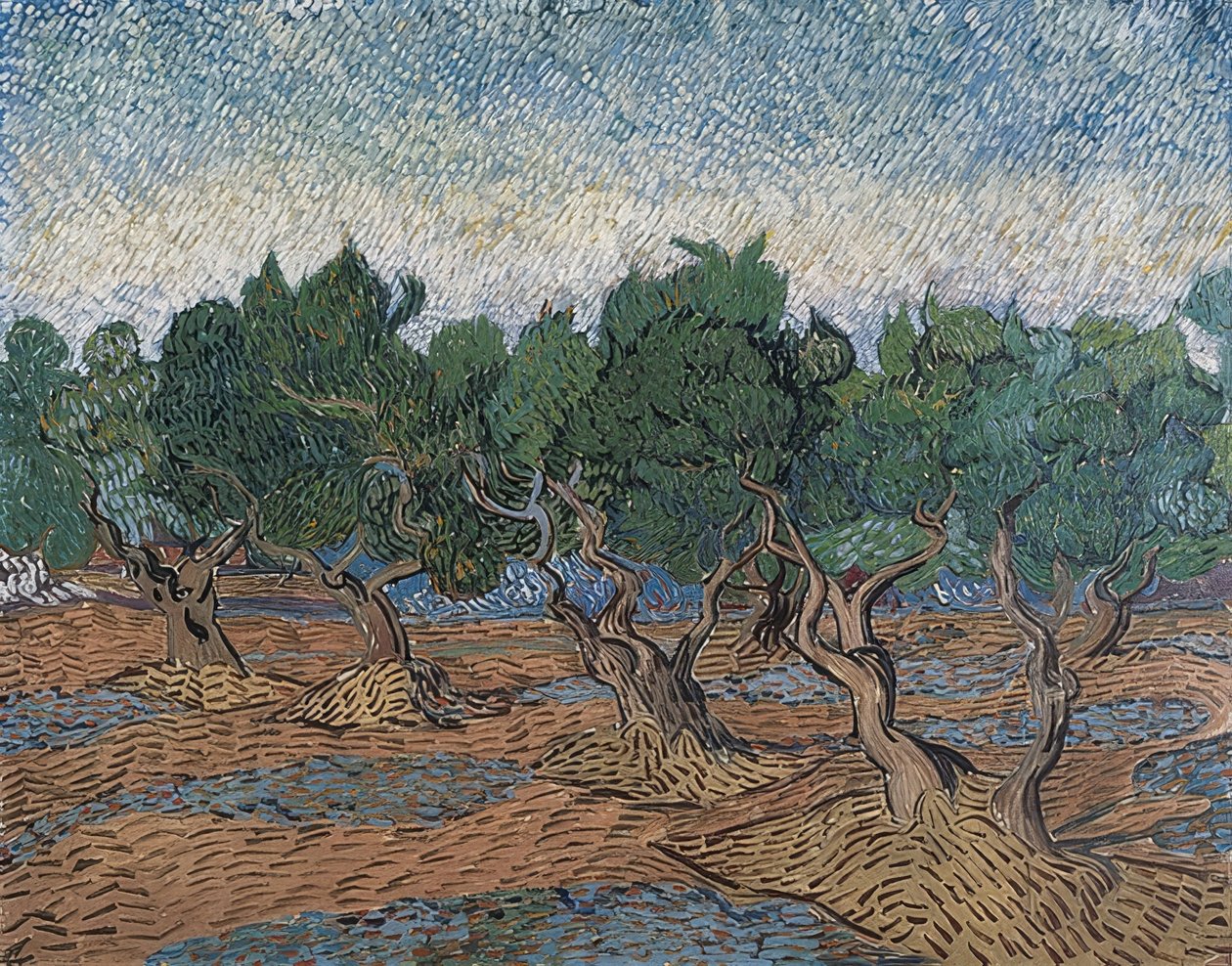 Olivový háj. 1889 od Vincent van Gogh