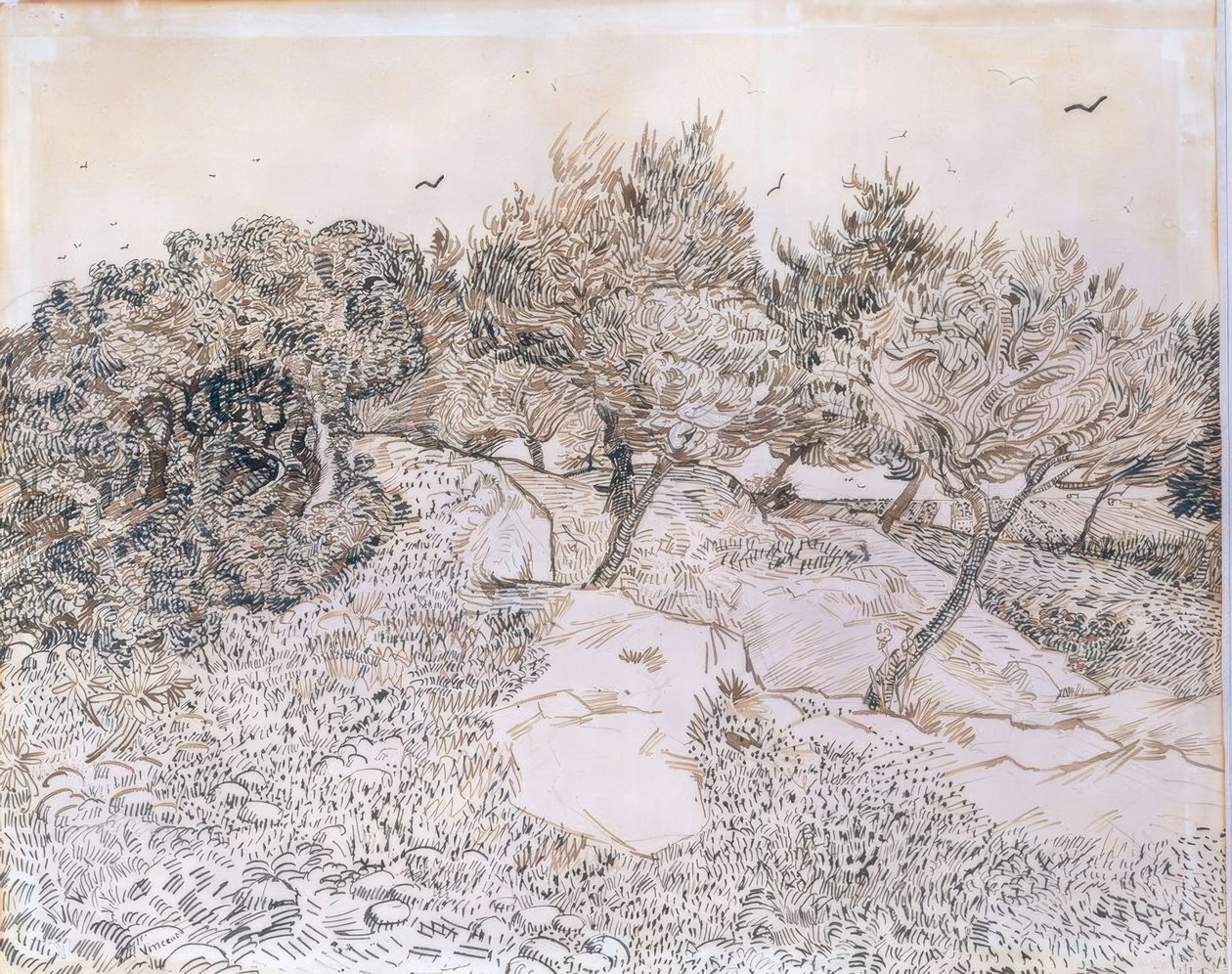 Olivovníky v Montmajour od Vincent van Gogh