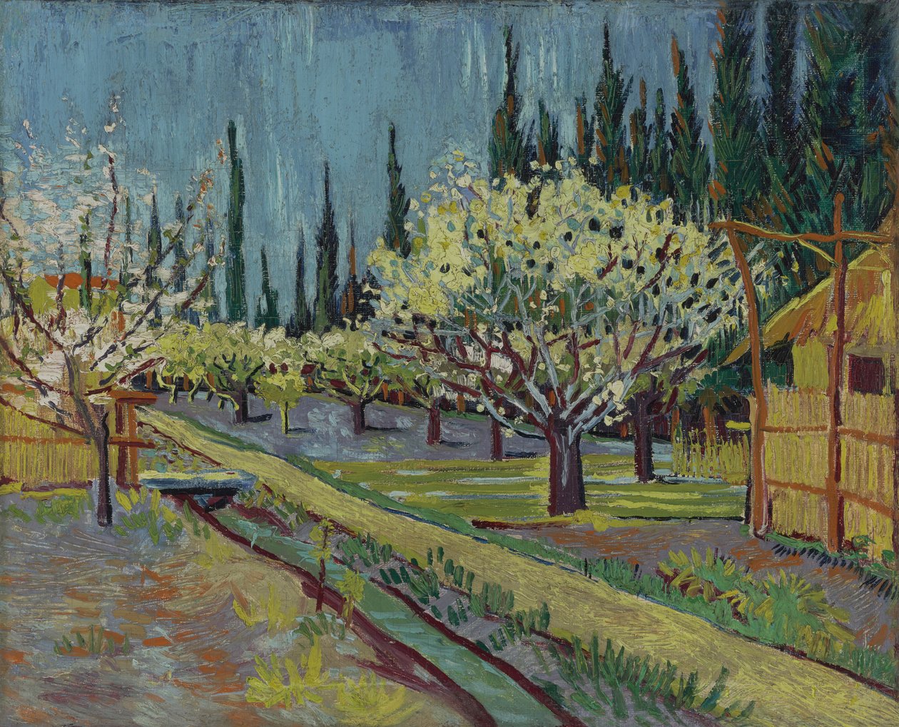 Orchard ohraničený cypřiši od Vincent van Gogh