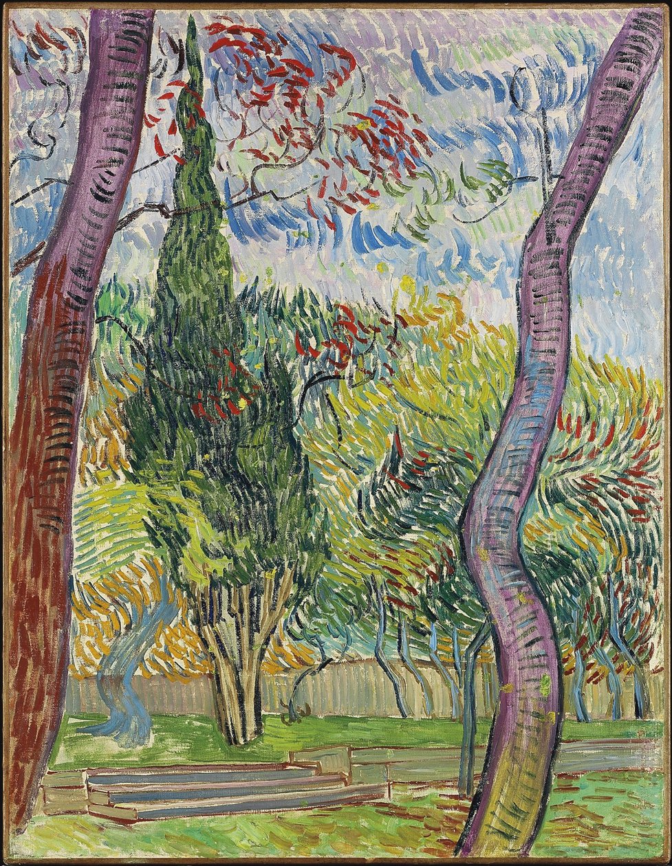 Nemocniční park Saint-Paul, 1889 od Vincent van Gogh