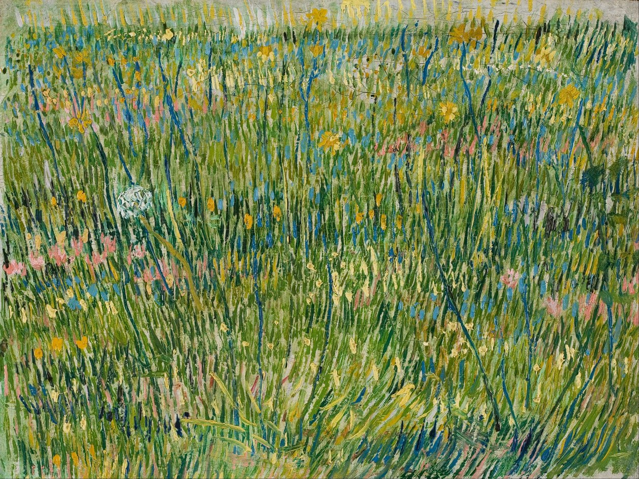 Trávník od Vincent van Gogh
