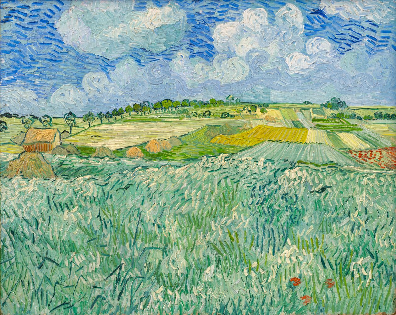 Rovina u Auvers od Vincent van Gogh