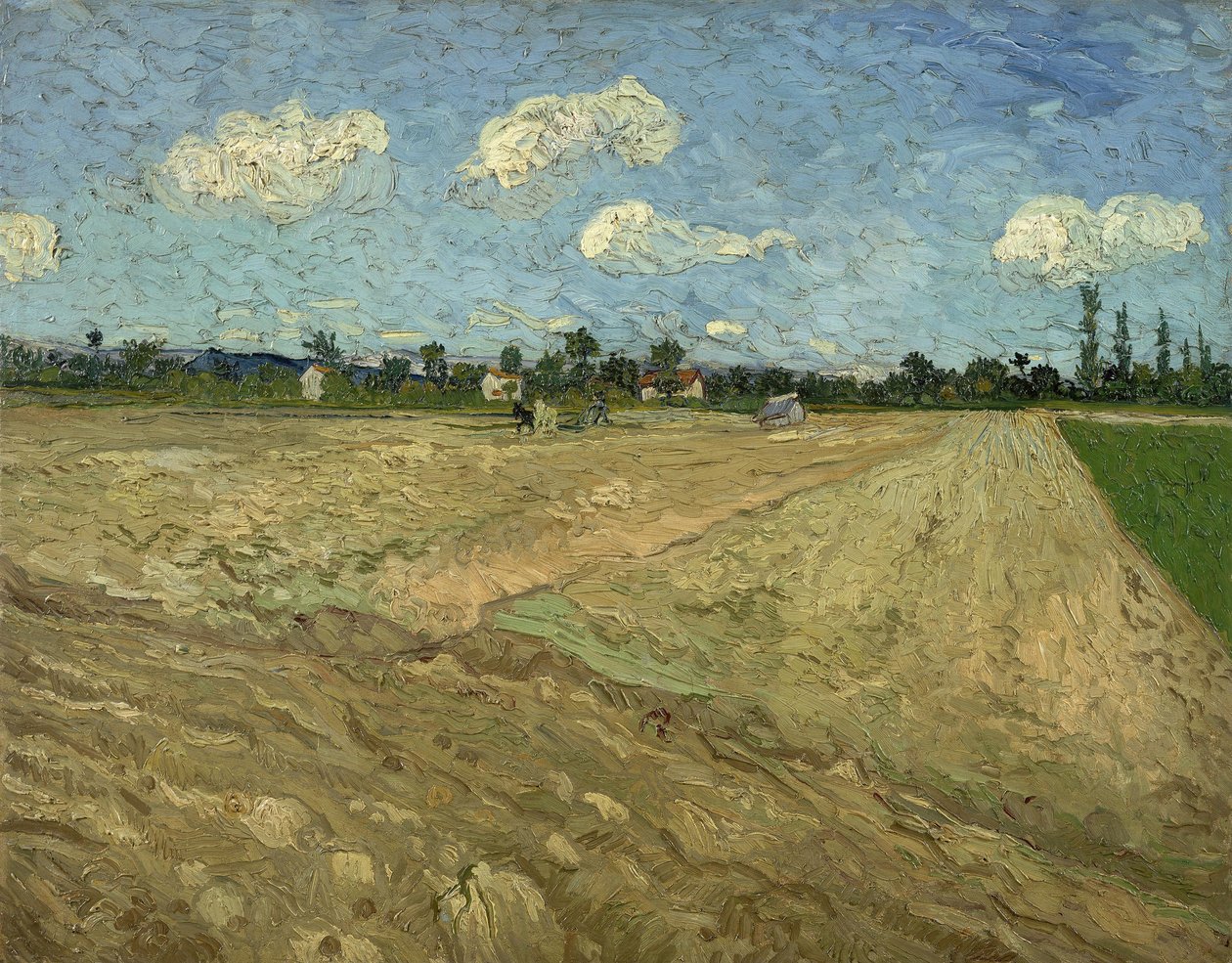 Zoraná pole („Brázdy“) od Vincent van Gogh