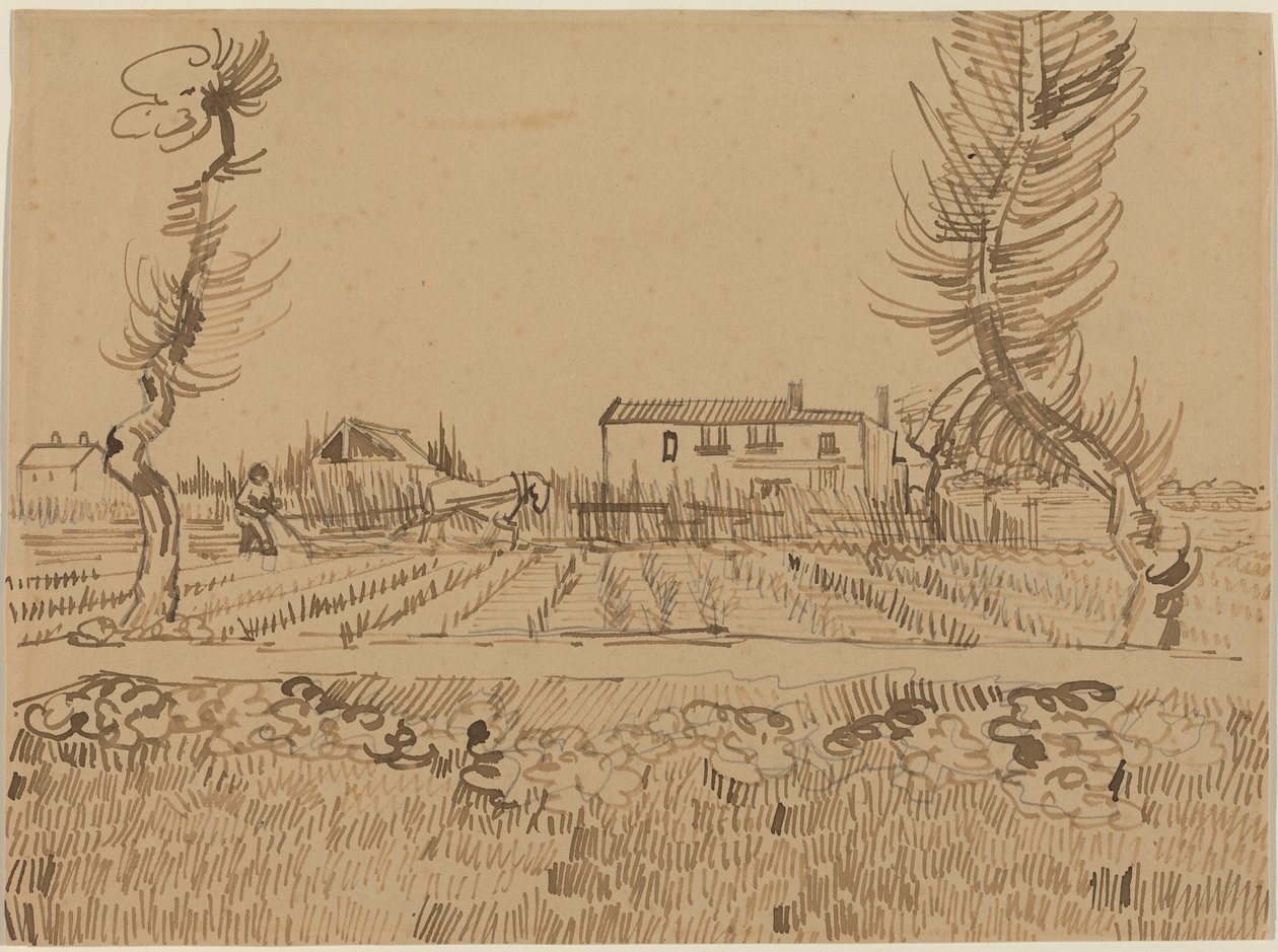 Oráč na polích nedaleko Arles od Vincent van Gogh