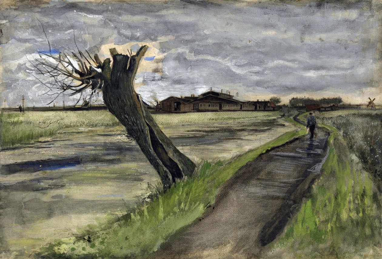 Pollard Willow (saule tetard) podle Gogha, Vincenta, van (1853-1890). Tužka, akvarel, Kvaš, tuš na papíře, rozměr : 38x55,8 od Vincent van Gogh