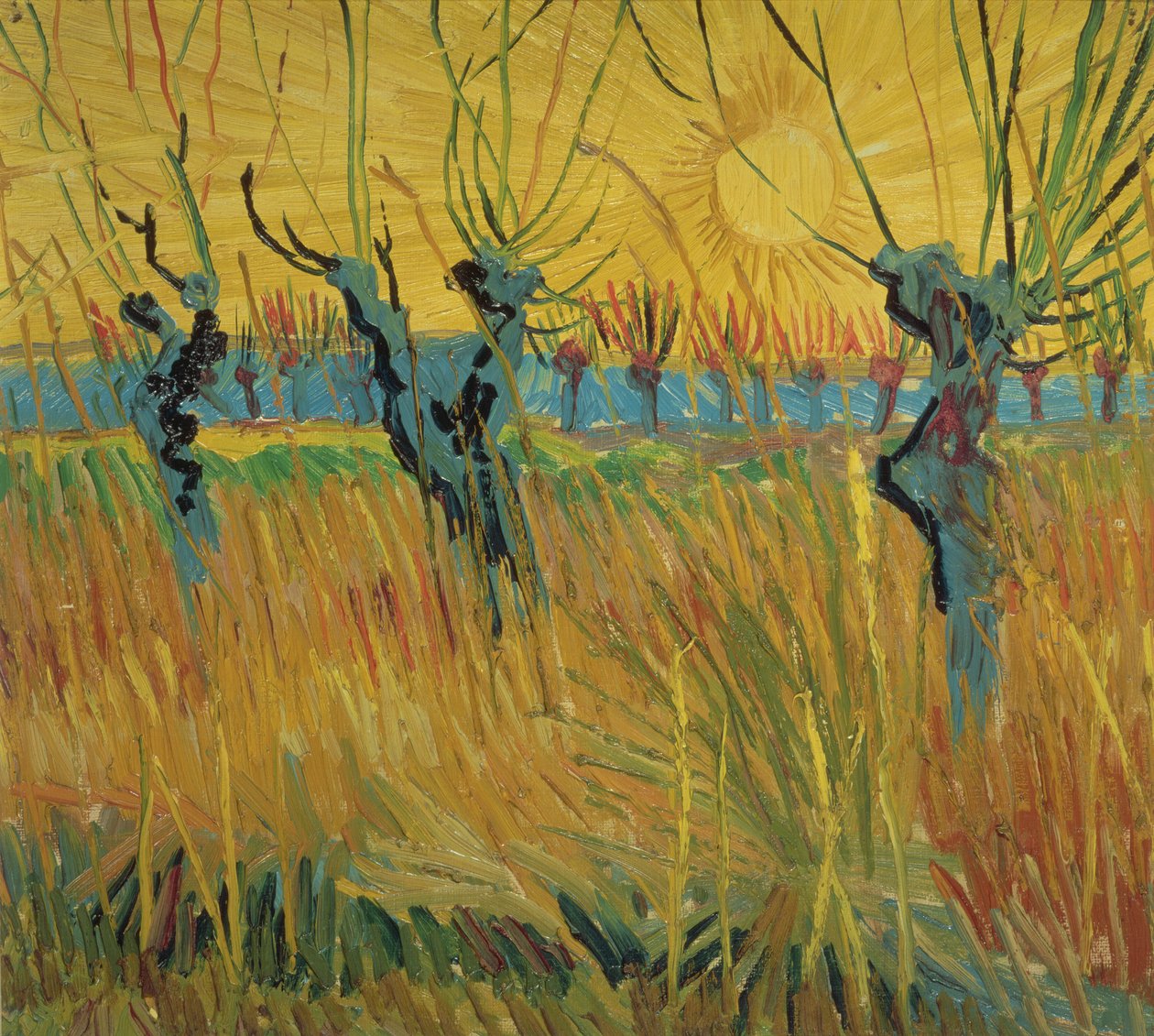 Pollarded Willows a zapadající slunce od Vincent van Gogh