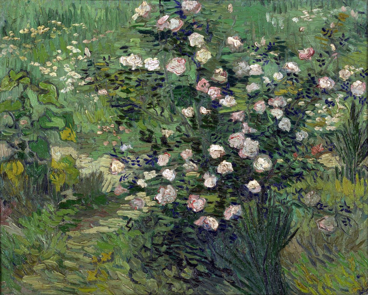 "Růže"" Peinture de Vincent van Gogh (1853-1890) 1889 Národní muzeum západního umění, Tokio, Japonsko od Vincent van Gogh