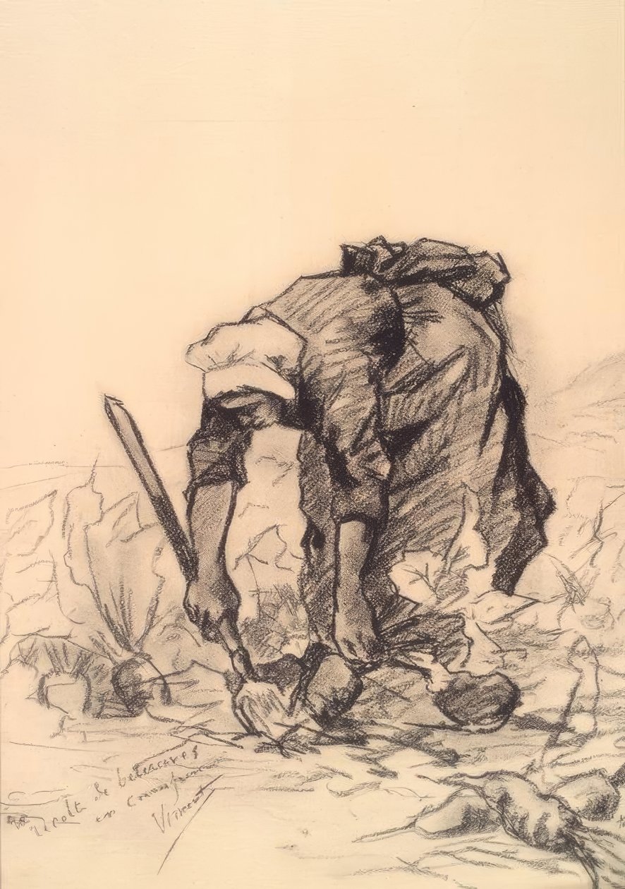 Řezačka na řepu od Vincent van Gogh