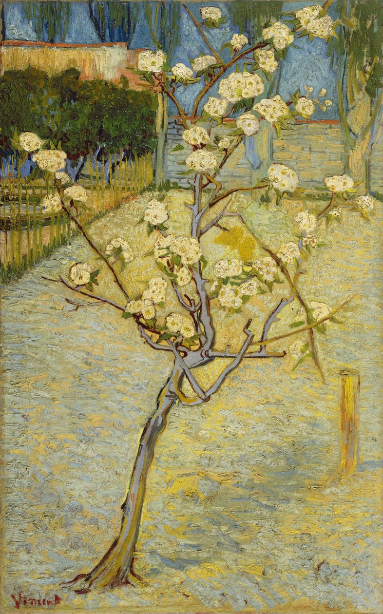 Malá kvetoucí hruška od Vincent van Gogh