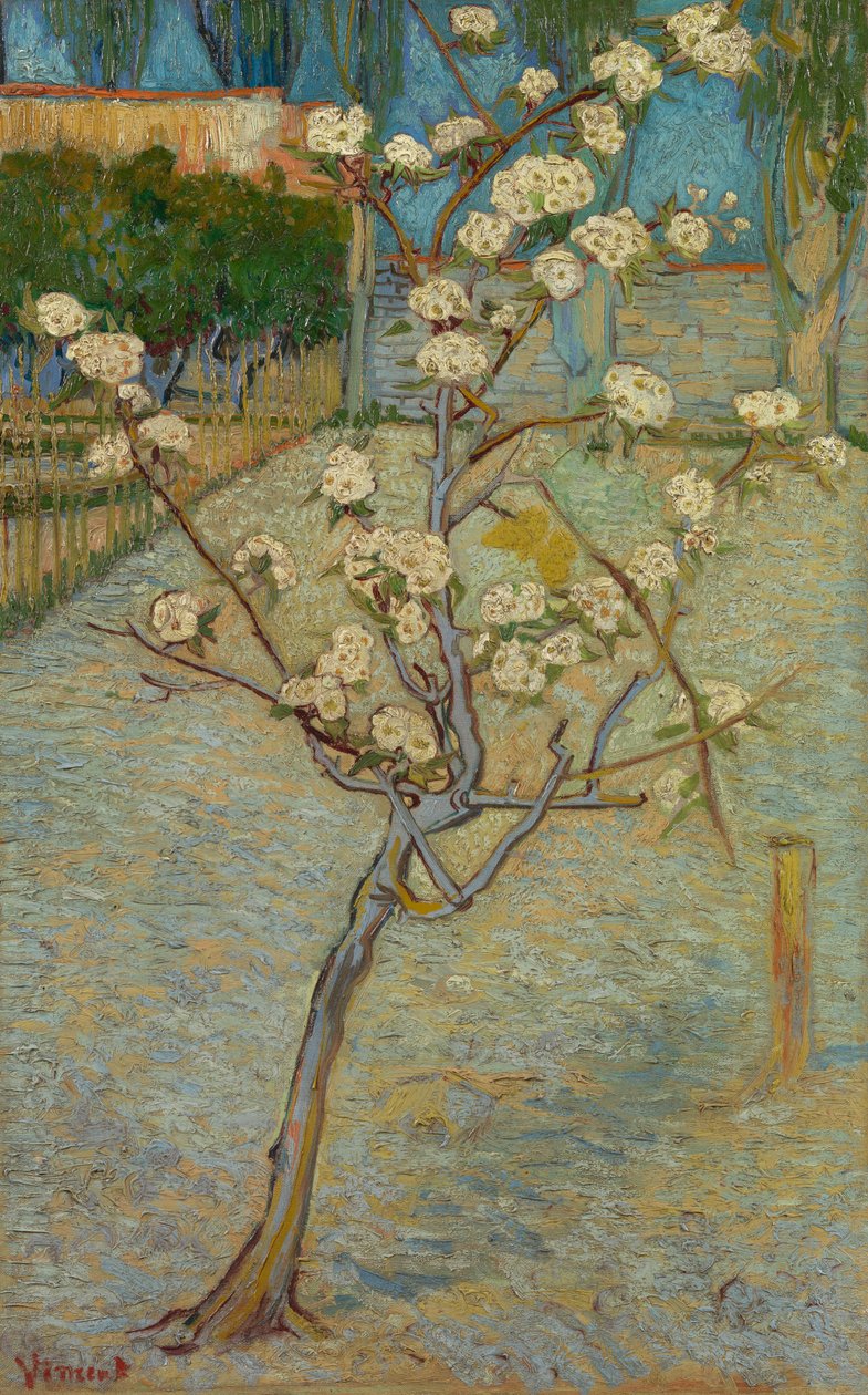 Malá hrušeň v květu od Vincent van Gogh