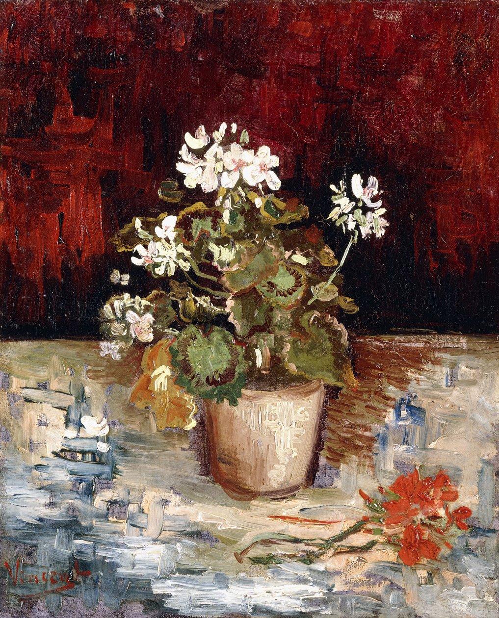 Zátiší hrnec muškátů, 1886 od Vincent van Gogh