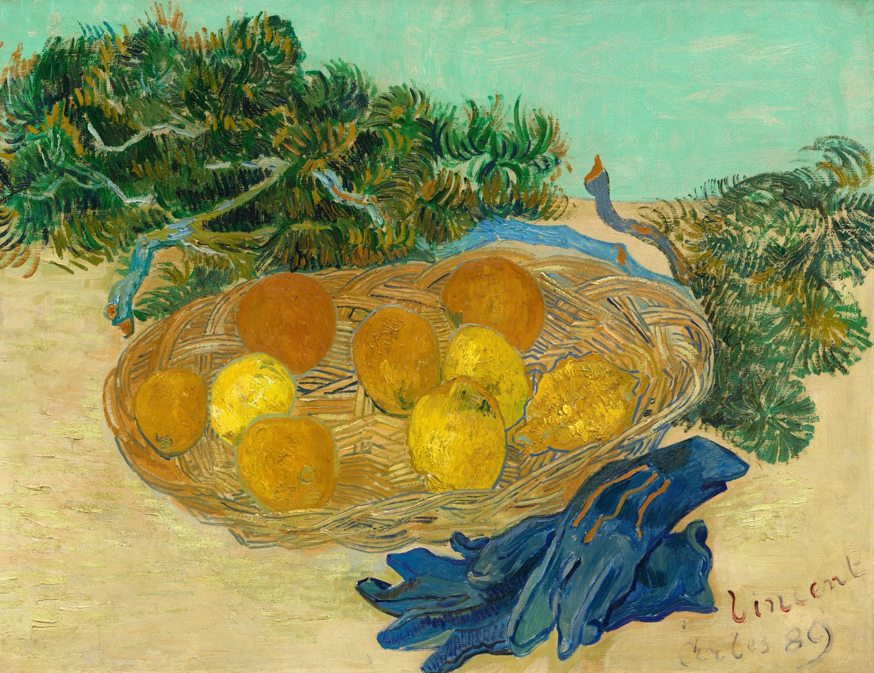 Zátiší z pomerančů a citronů s modrými rukavicemi od Vincent van Gogh