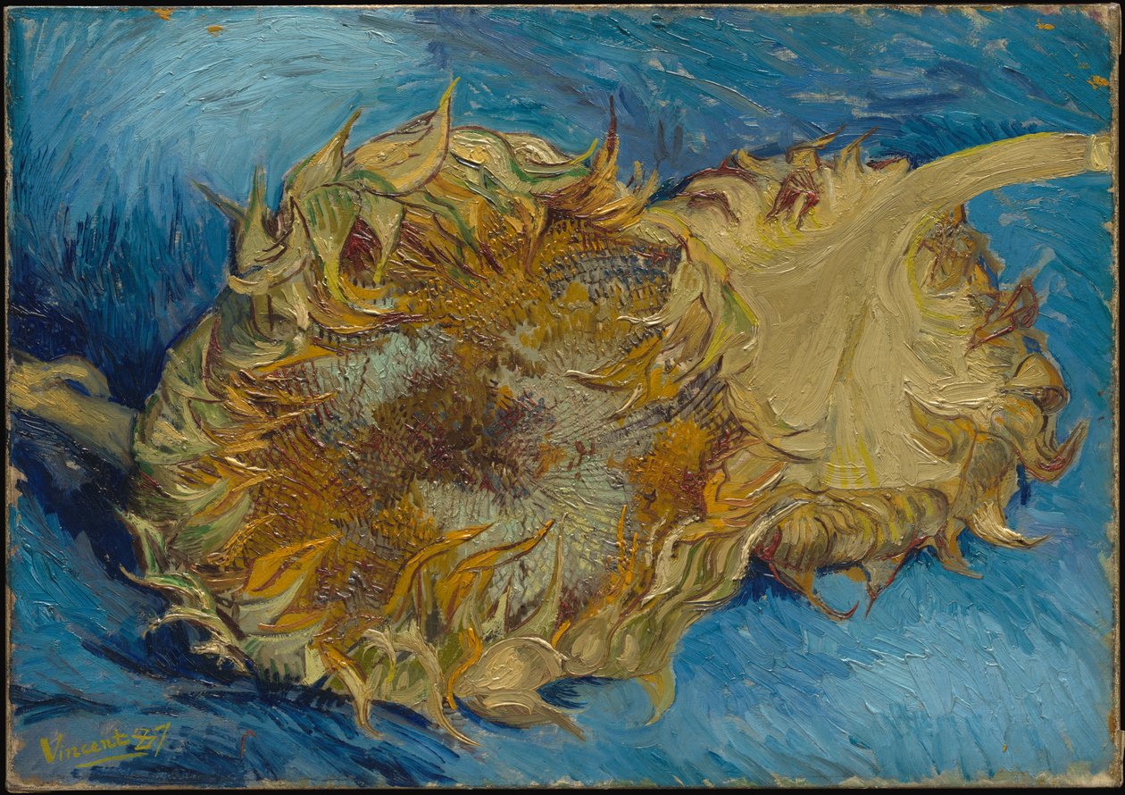 Slunečnice od Vincent van Gogh