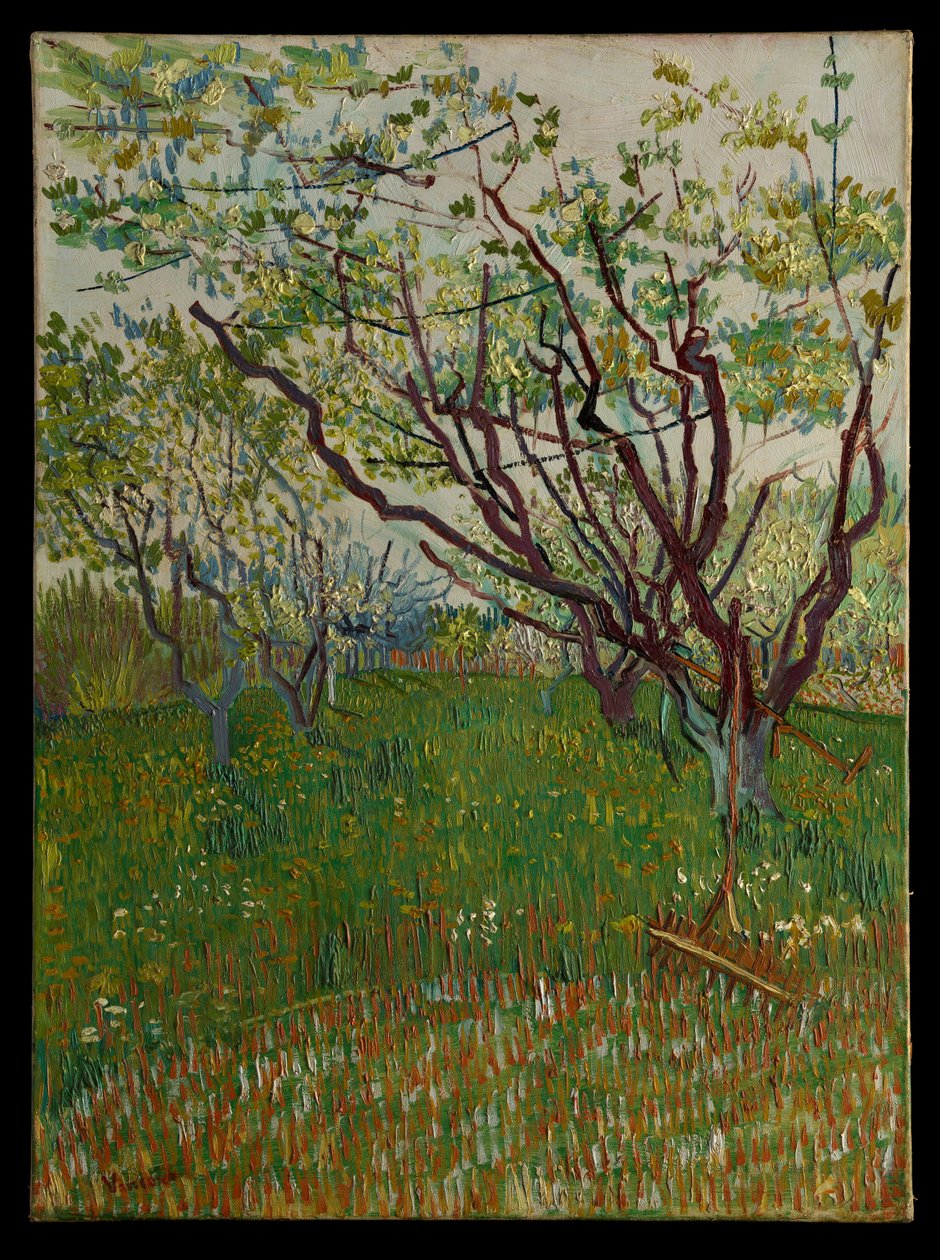 Kvetoucí sad od Vincent van Gogh