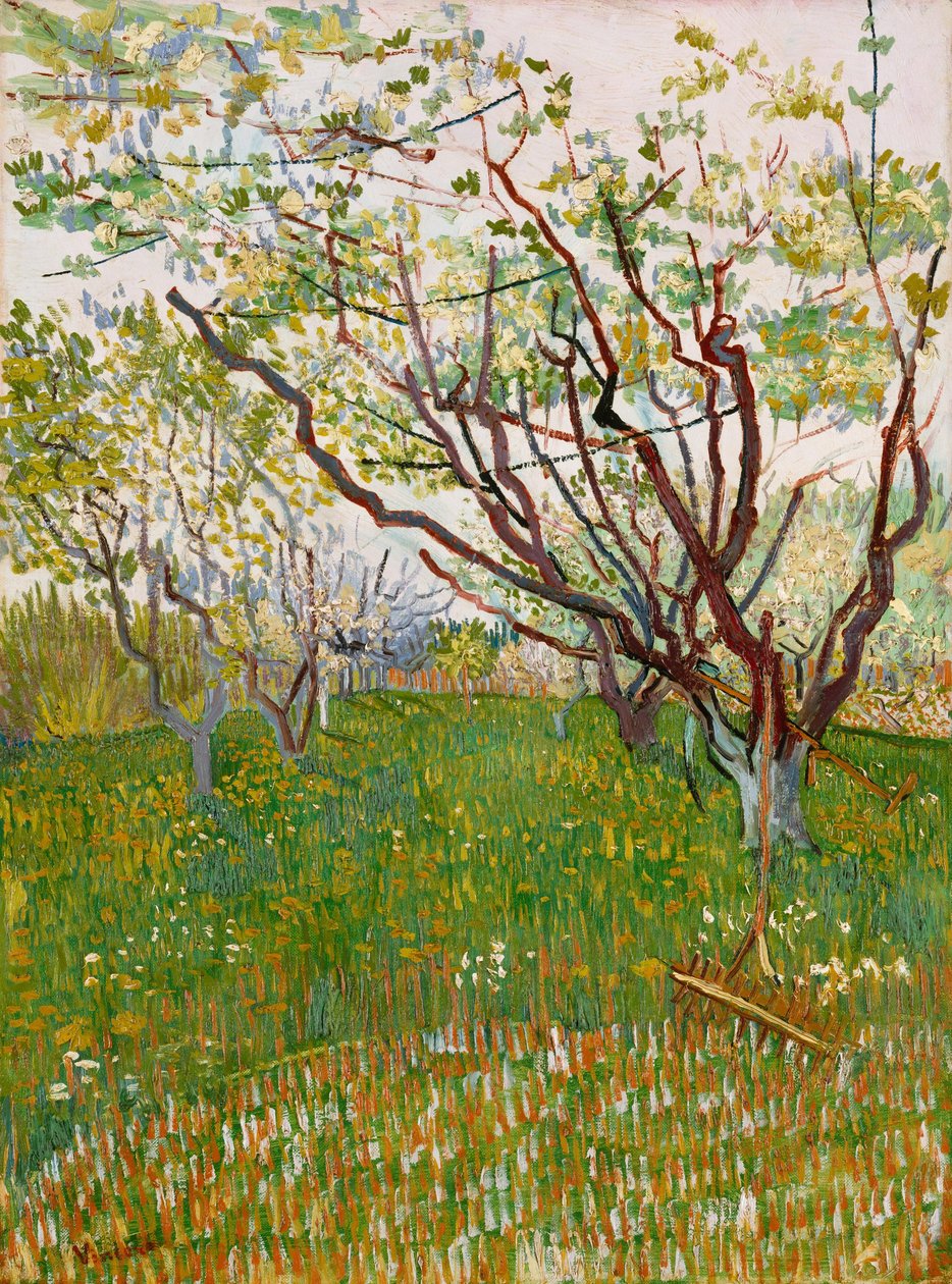 Kvetoucí sad od Vincent van Gogh