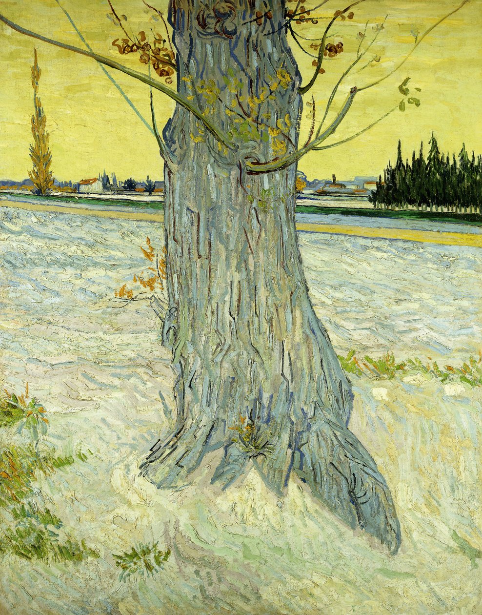 Starý strom; Le Vieil If od Vincent van Gogh