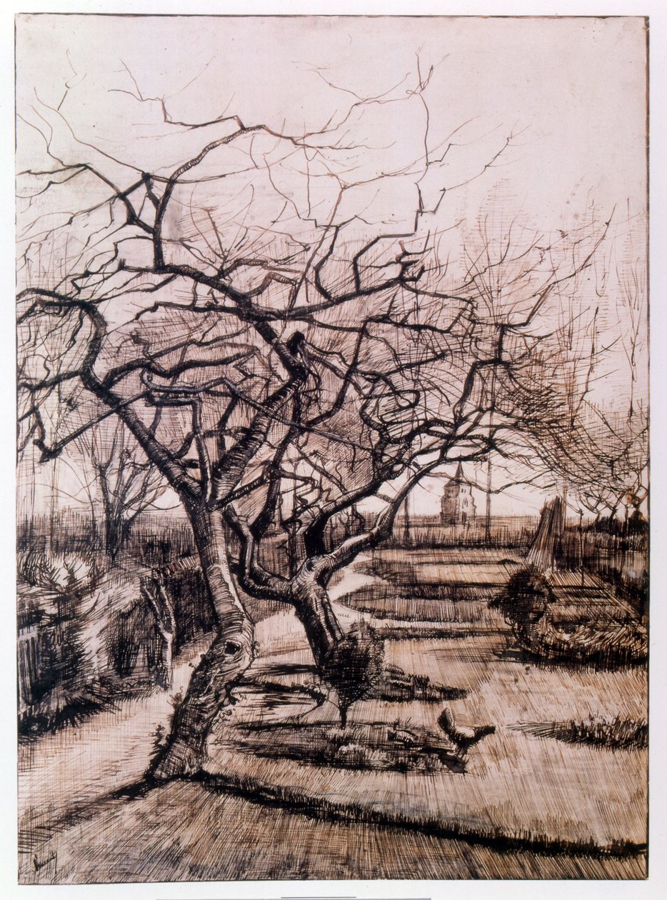 Farní zahrada v Nuenen v zimě (1884) od Vincent van Gogh