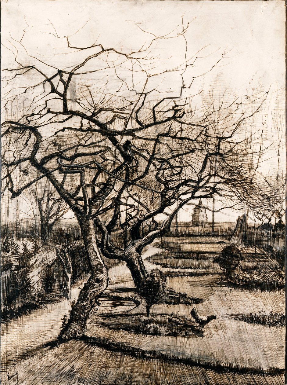 Farní zahrada v Nuenenu v zimě od Vincent van Gogh