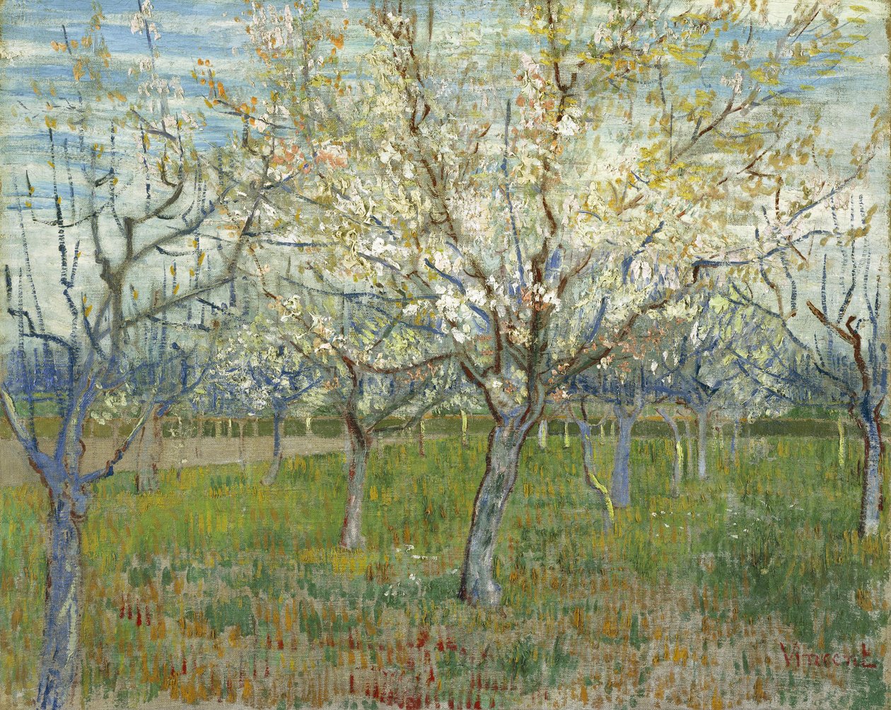 Růžový sad, také Sad s kvetoucími meruňkami od Vincent van Gogh