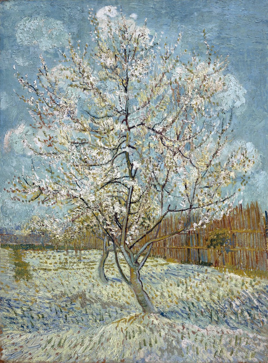 Růžová broskev od Vincent van Gogh