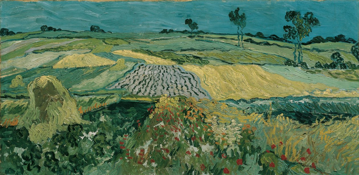 The Plain of Auvers, 1890 od Vincent van Gogh