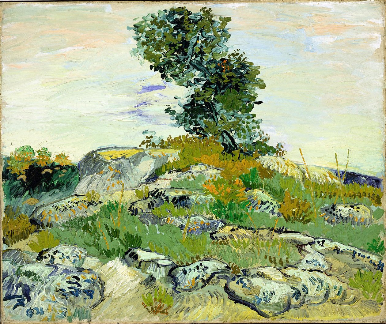 Skály od Vincent van Gogh