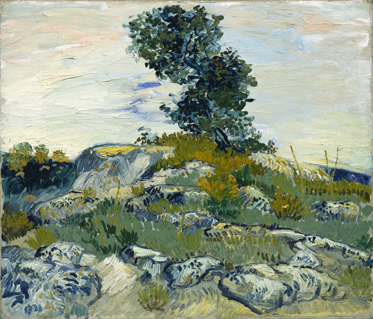 Skály / Skály s dubem od Vincent van Gogh