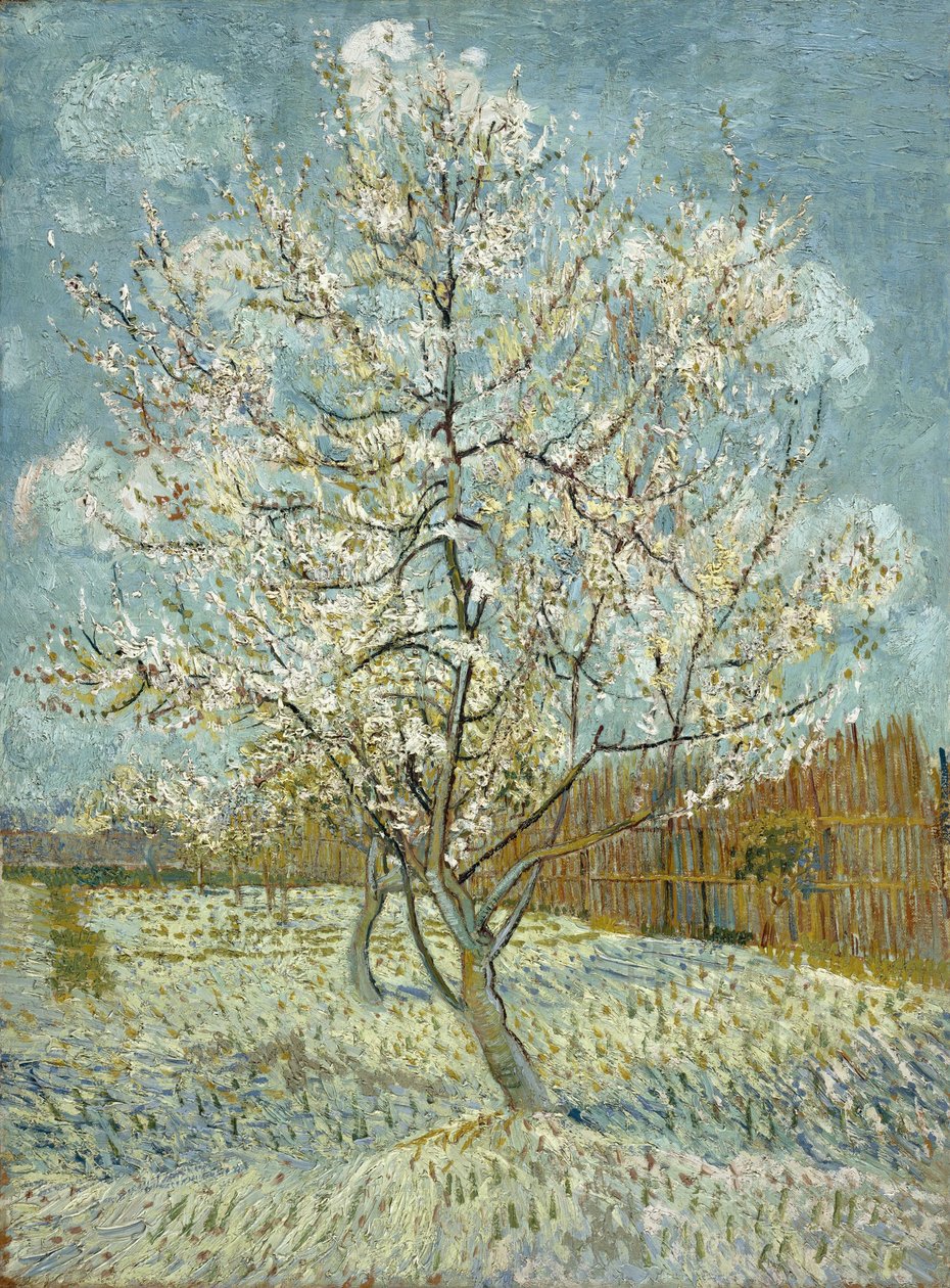 Růžová broskvoň od Vincent van Gogh