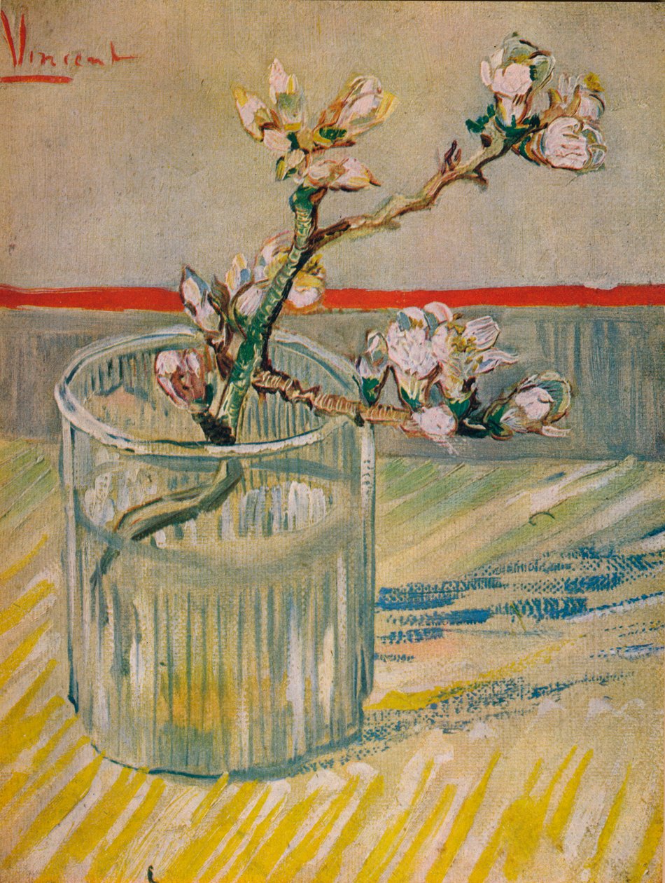 Mandlový kvetoucí stonek, 1888 od Vincent van Gogh
