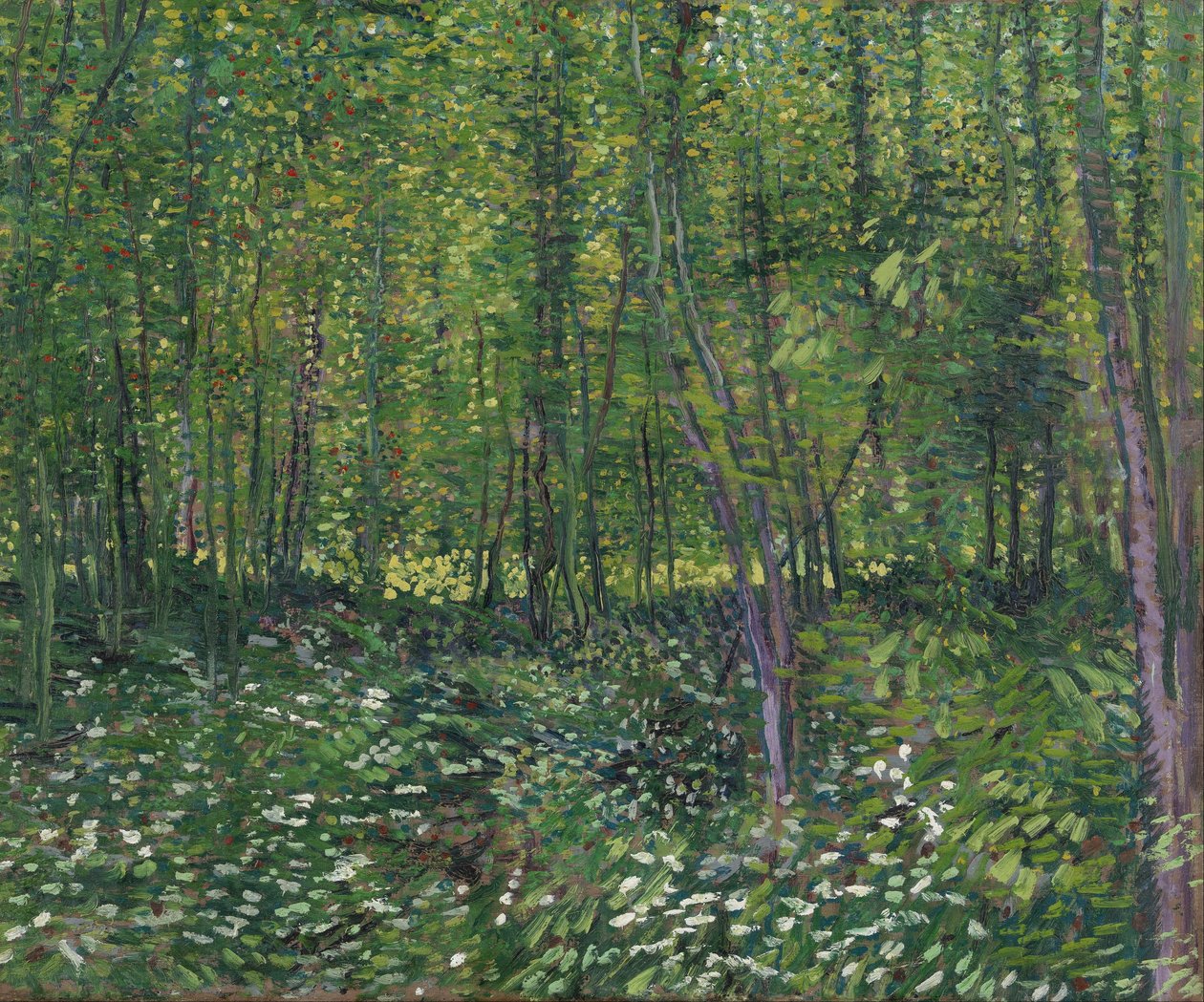 Stromy a podrost od Vincent van Gogh