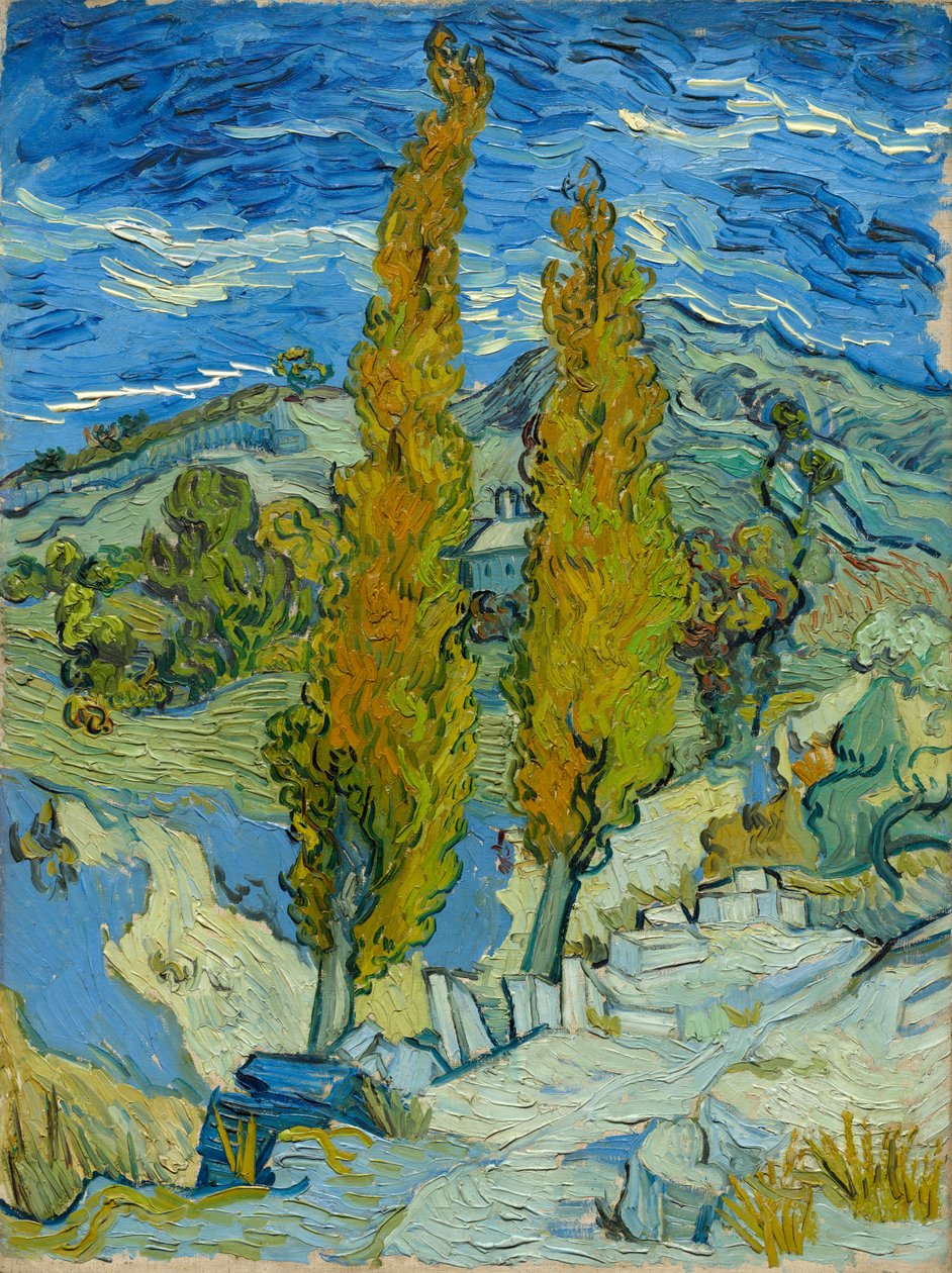 Dva topoly v Alpilles poblíž Saint-Rémy od Vincent van Gogh