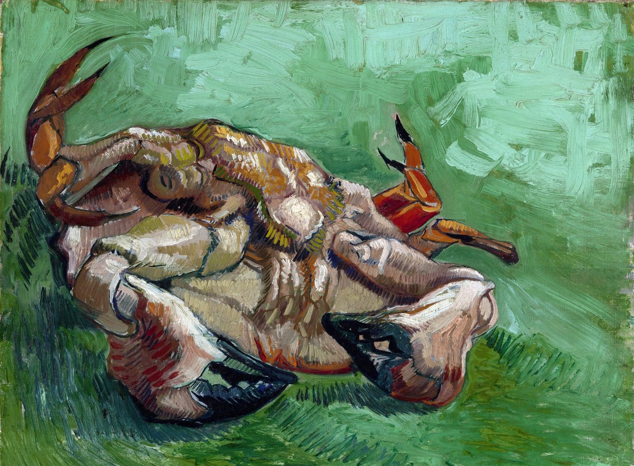 "Krab ležící na zádech" Obraz Vincenta van Gogha (1853-1890) 1889 Rozměr 38x46,5 cm Van Gogh Museum, Amsterdam od Vincent van Gogh