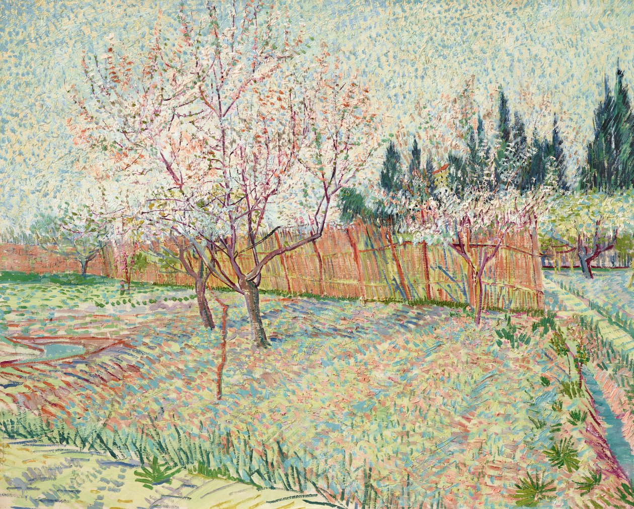 Sad s cypřiši od Vincent van Gogh