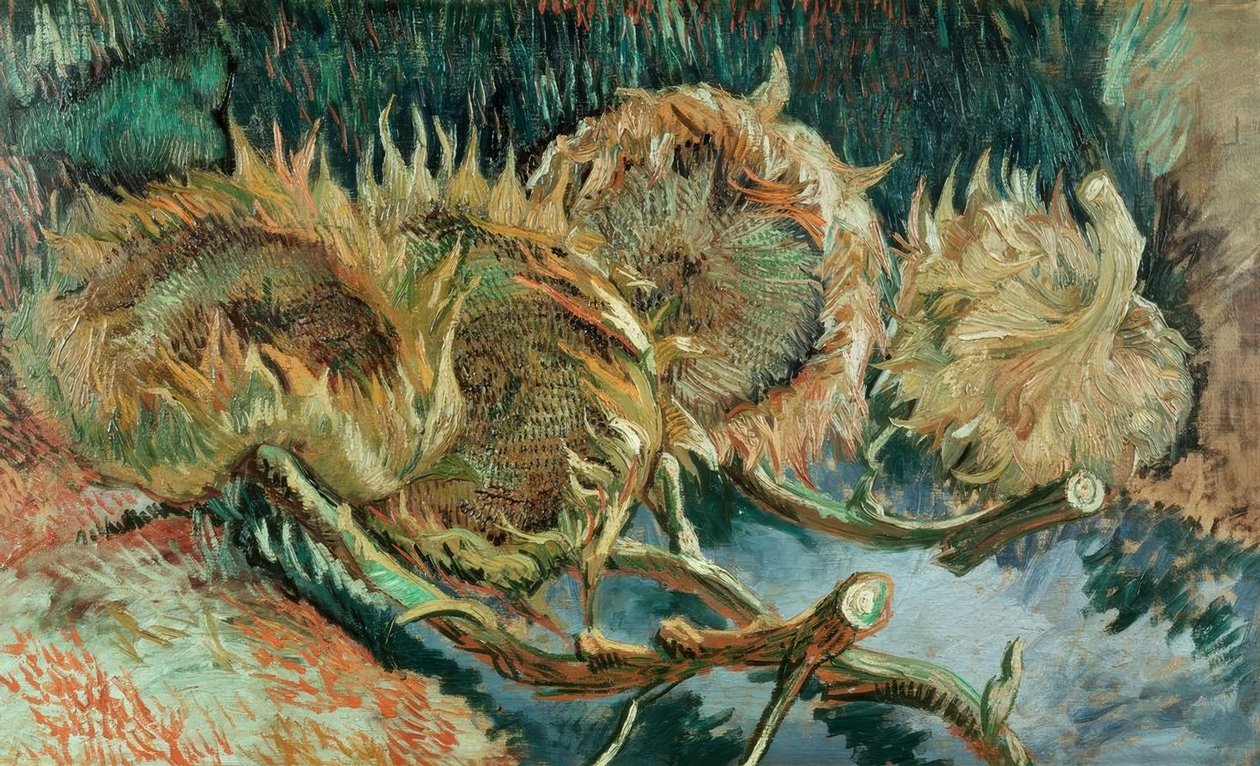 Čtyři uschlé slunečnice od Vincent van Gogh