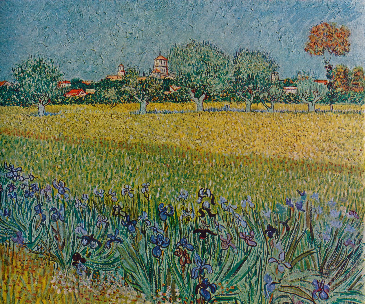 Pohled na Aleše s kosatci v květu, 1888 od Vincent van Gogh