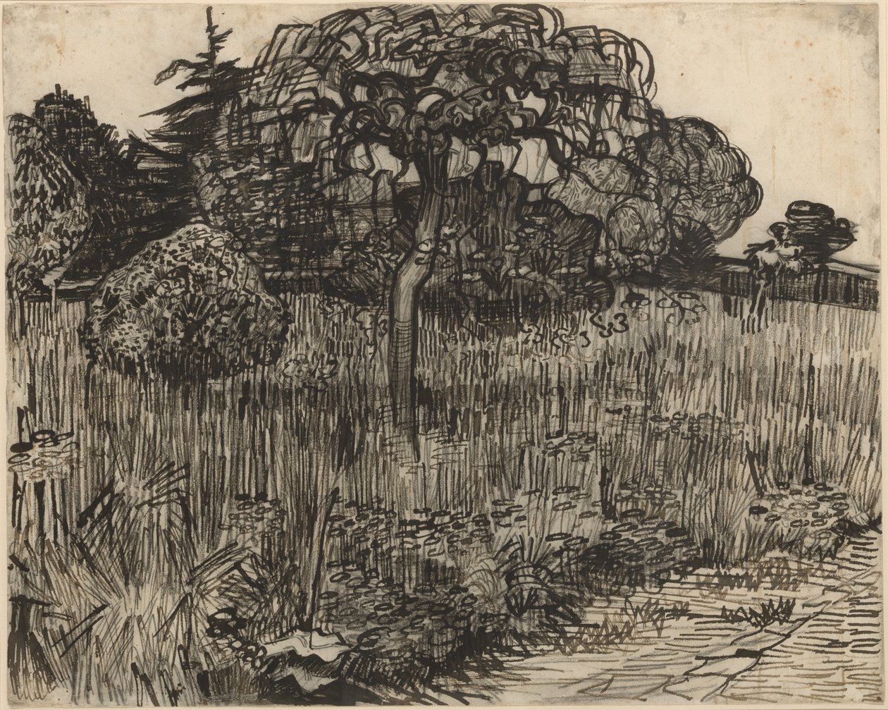Plačící strom od Vincent van Gogh