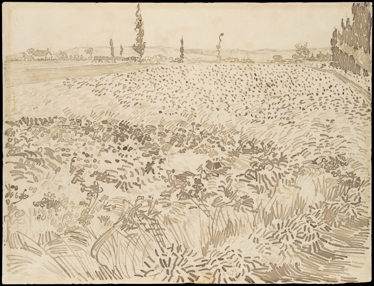 Pšeničné pole od Vincent van Gogh