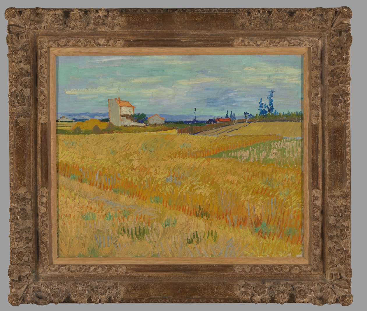 Pšeničné pole od Vincent van Gogh