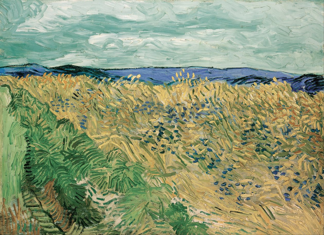 Pšeničné pole s chrpami od Vincent van Gogh