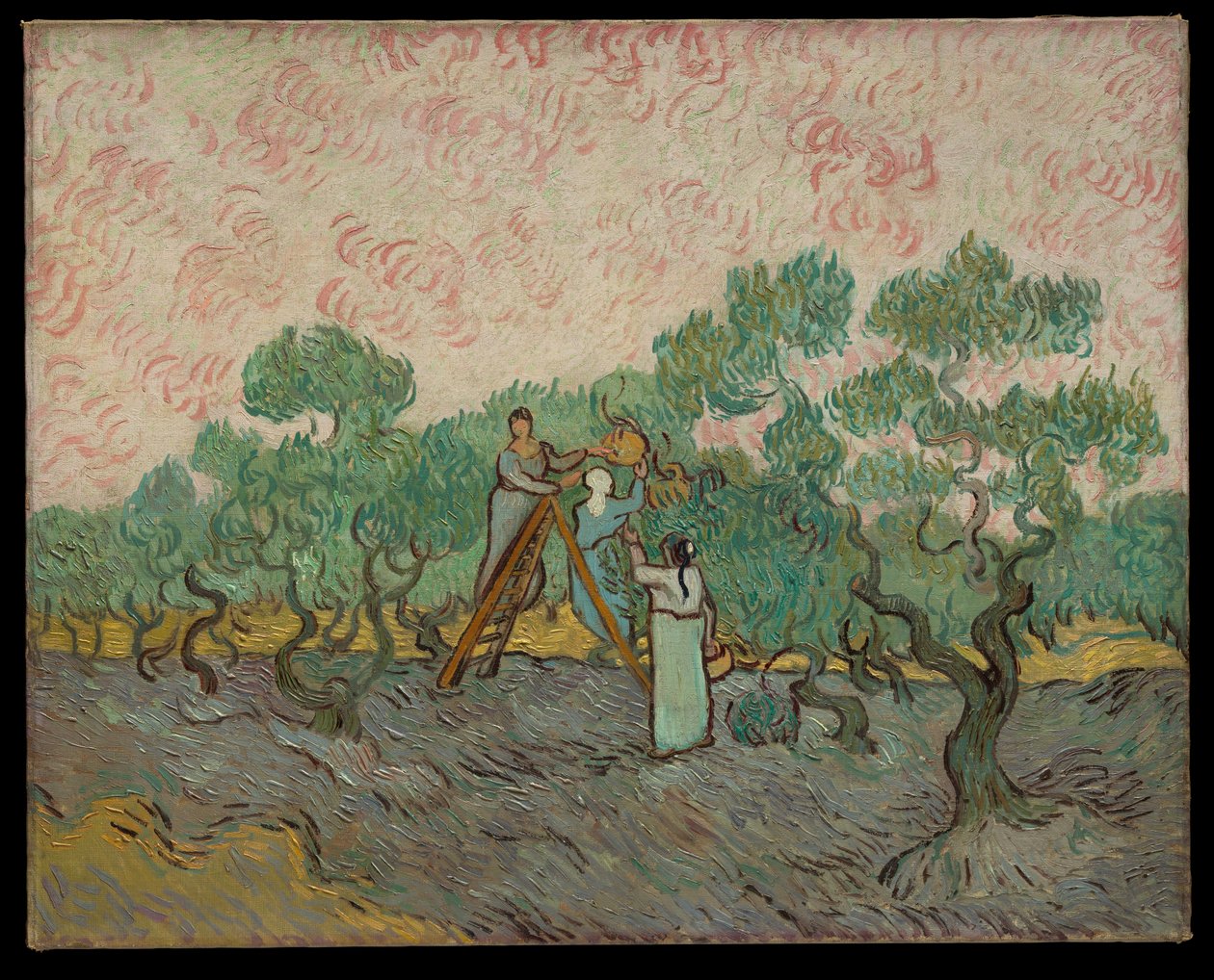 Ženy sbírající olivy od Vincent van Gogh