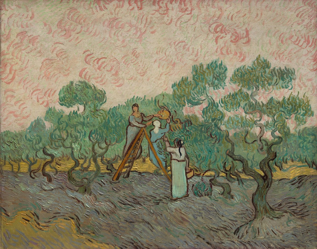 Ženy sbírají olivy, 1889. od Vincent van Gogh