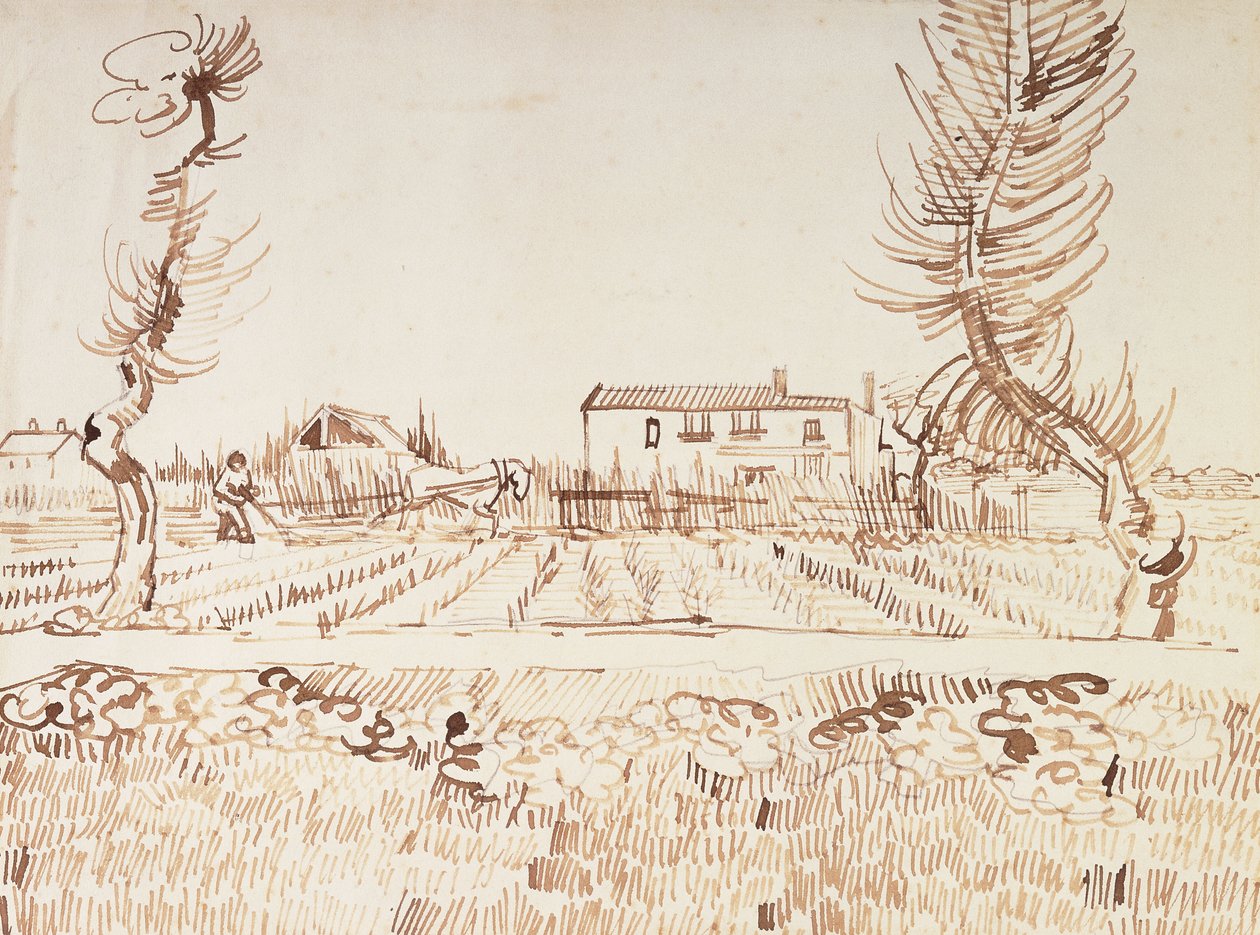 Práce na polích v Arles; Oráč na polích v Arles, 1888 od Vincent van Gogh