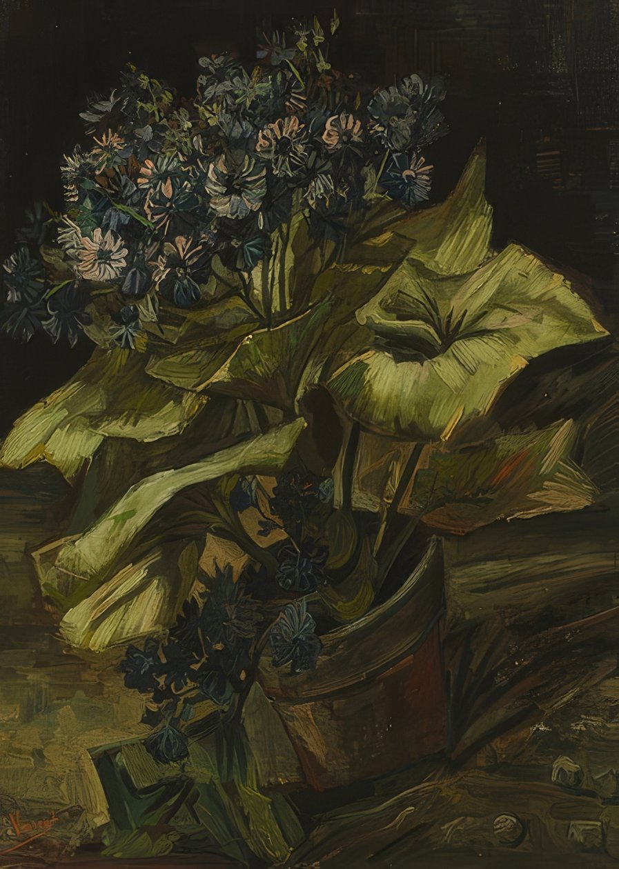 Zinerarie. 1885 od Vincent van Gogh