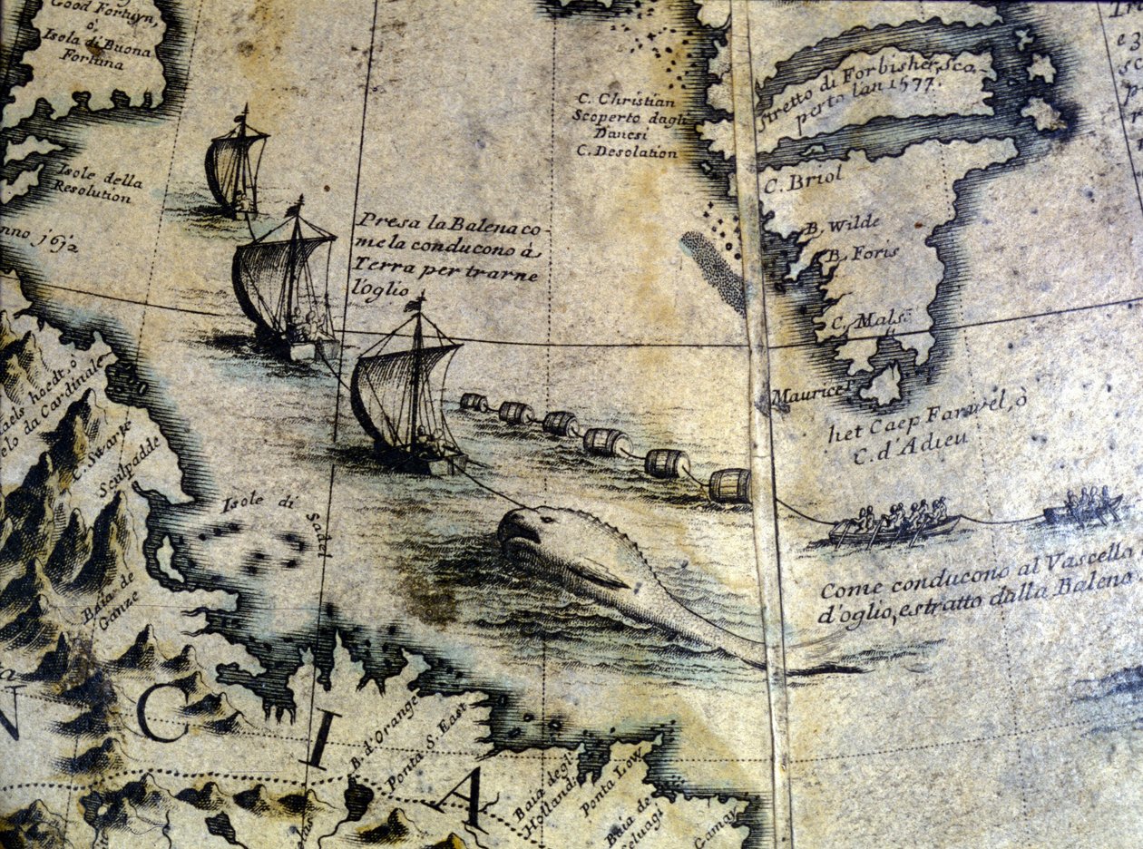 Lov velryb: velryba je vynesena na břeh, aby těžila ropu. Z Coronelliho zeměkoule. 17. století. od Vincenzo Maria Coronelli