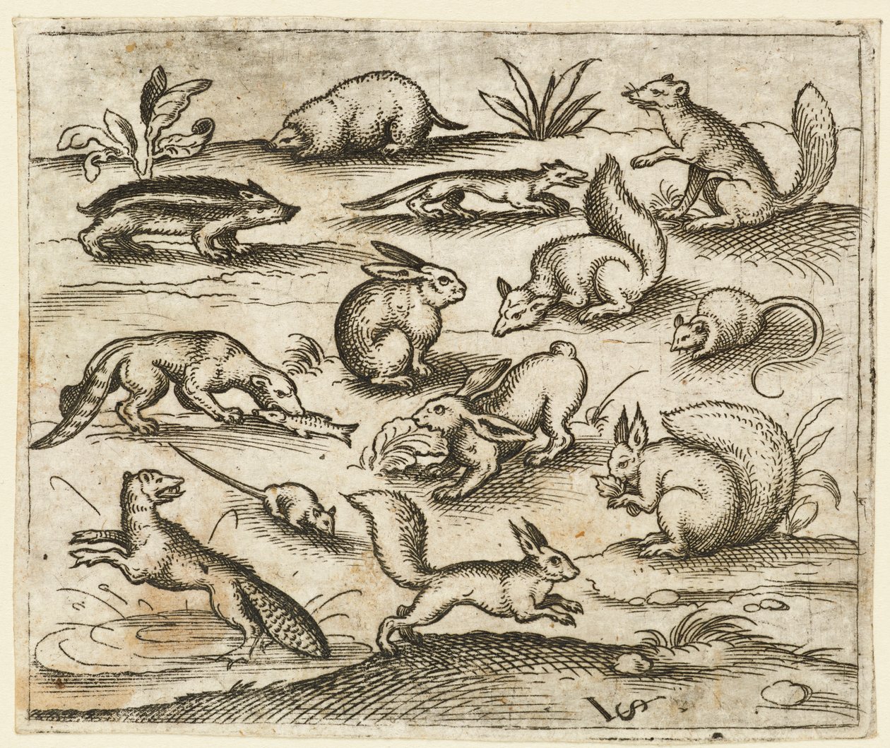 Skupina malých lesních tvorů, kteří jedí a pobíhají kolem rybníka, včetně myši..., 1557. od Virgil Solis